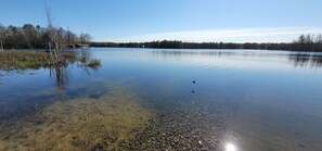 A calm lake with clear water, surrounded by trees and a small building.