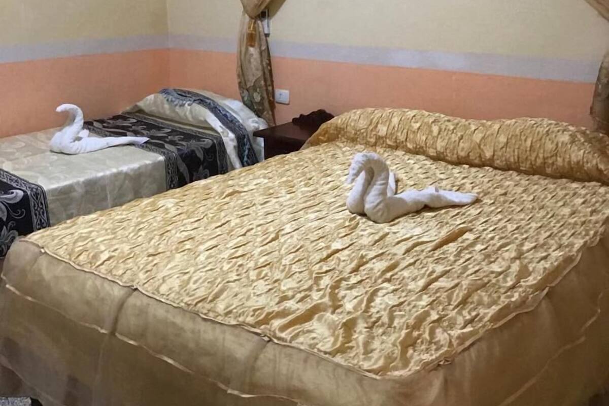 Traditional Single Room