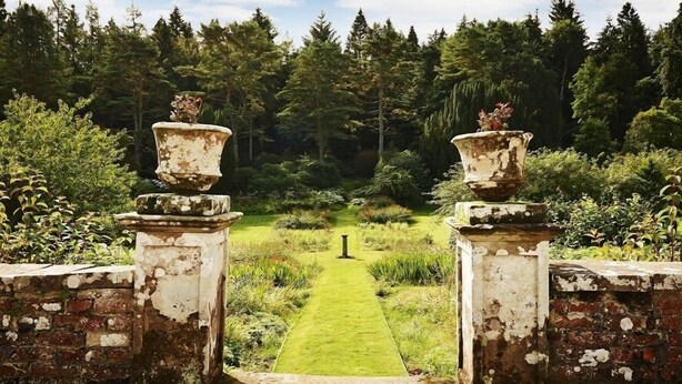 A rustic garden pathway leading to a small pond, surrounded by lush greenery and trees. - Blairquhan Cottages (Maybole)