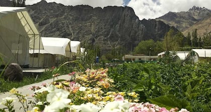 Apple Cottage Nubra - Glamping