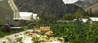 Apple Cottage Nubra - Glamping