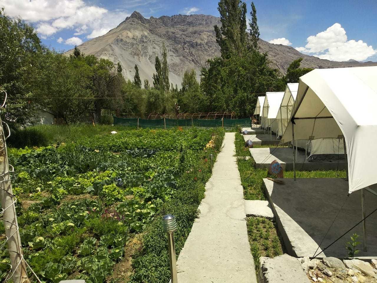 Una hilera de tiendas blancas con un sendero de jardín que las conduce, con montañas al fondo.