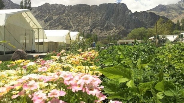 A greenhouse with a variety of flowers in the foreground and mountains in the background. - Apple Cottage Nubra - Glamping (Leh)