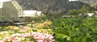 Apple Cottage Nubra - Glamping