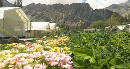 Apple Cottage Nubra - Glamping