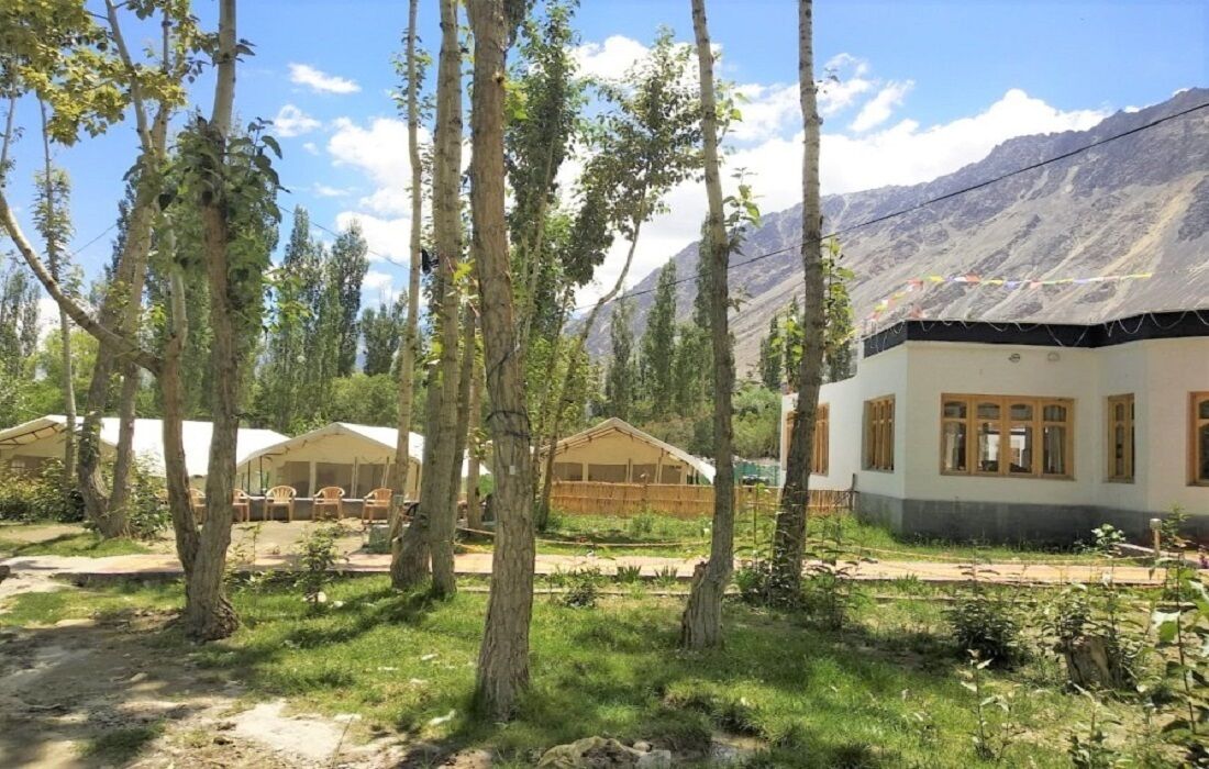 A rustic lodge with multiple wooden cabins, surrounded by tall trees and a mountainous backdrop.