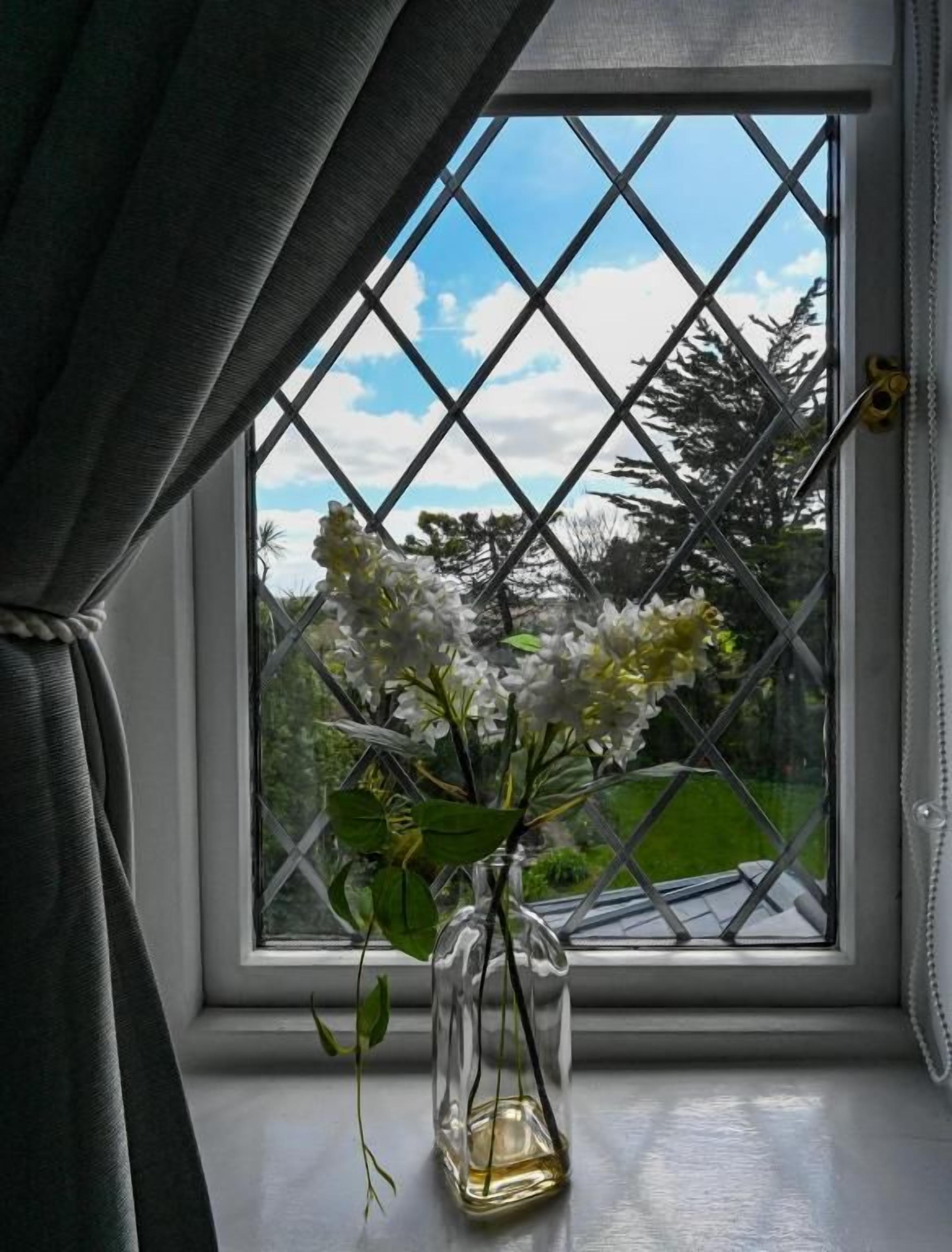 Een uitzicht op groen en een heldere lucht.