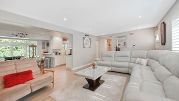 Smart TV, fireplace, books, streaming services