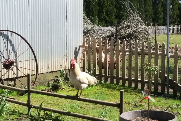 Jardines del alojamiento