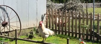 Brookings Little Farm - Entire Home