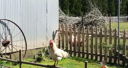 Little Farm - Gesamte Wohnung