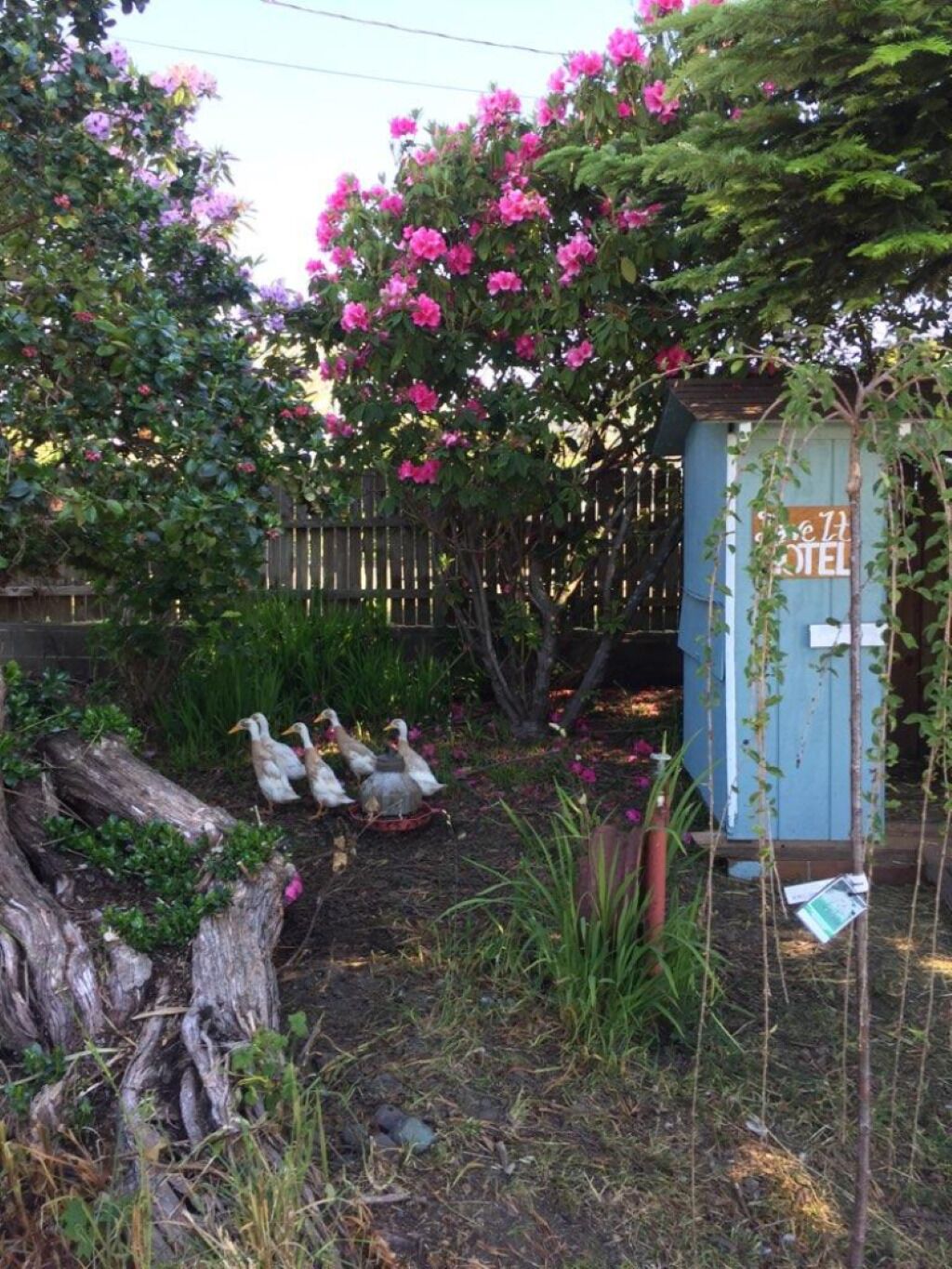 Terrein van de accommodatie