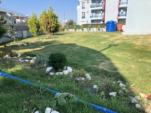 Giardino