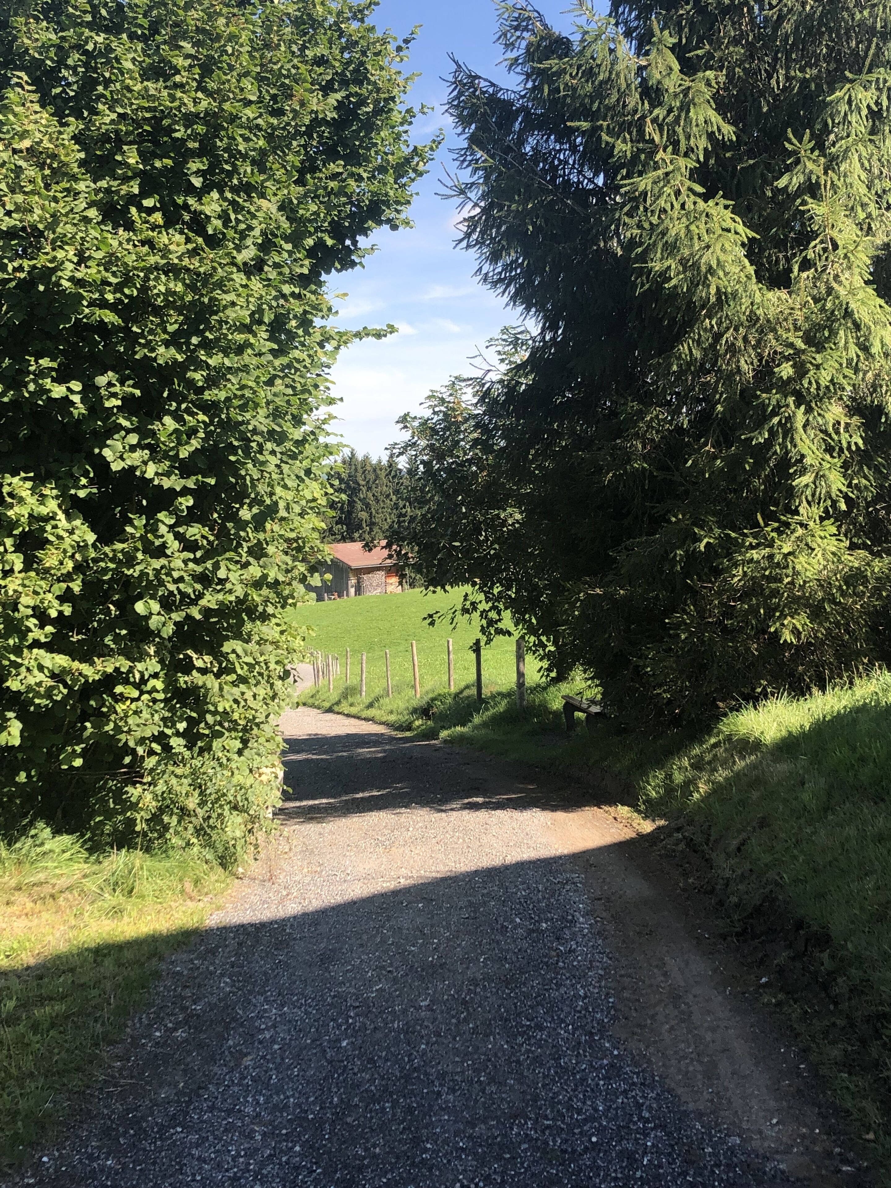 A gravel path flanked by dense green foliage, leading to a building with a red roof.