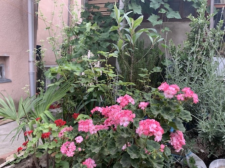 Jardín