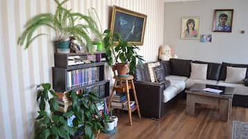 平板电视
