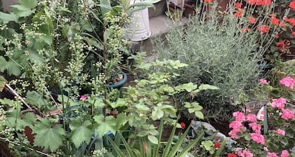 Your House in Tbilisi