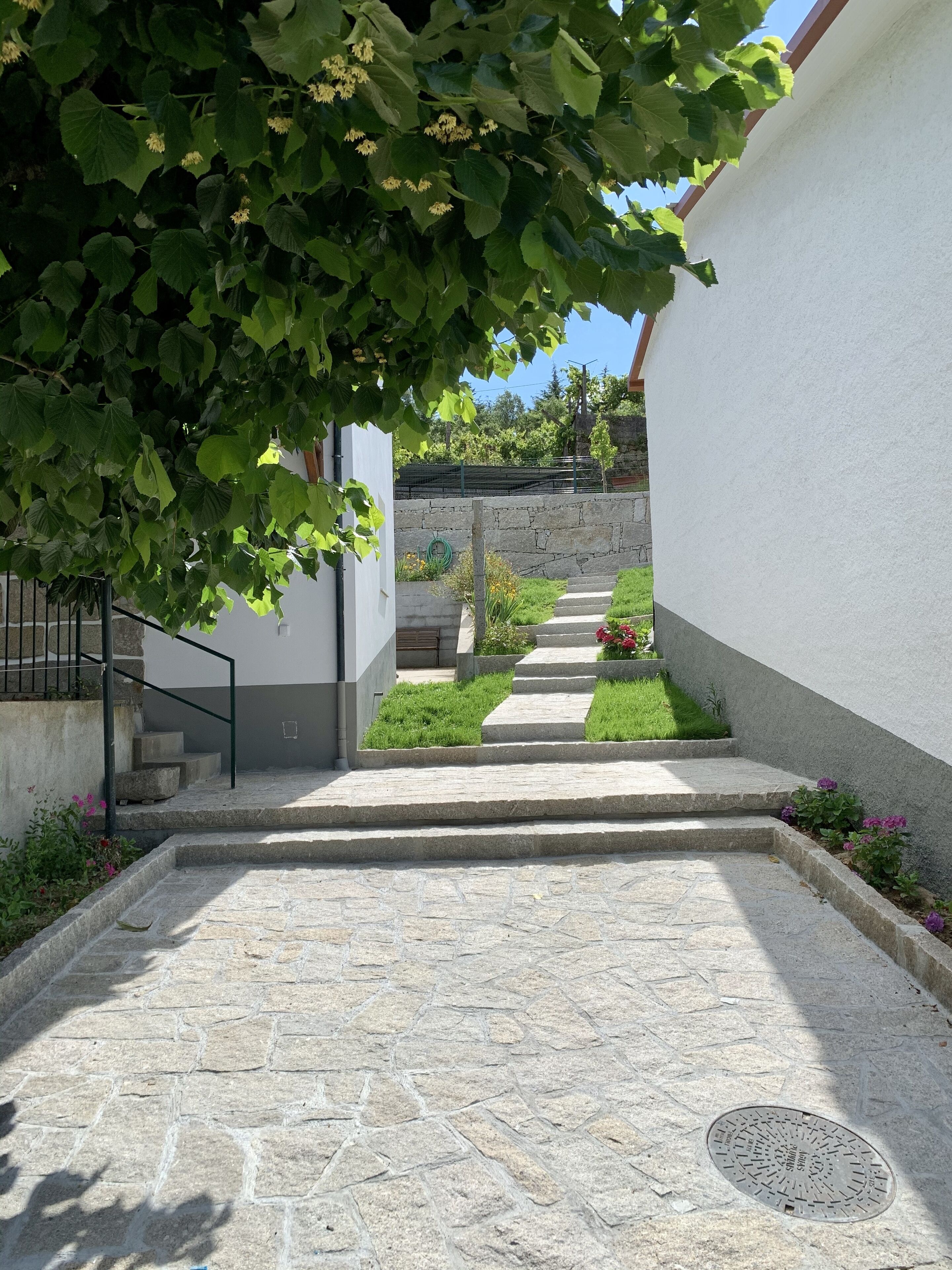 Taman
