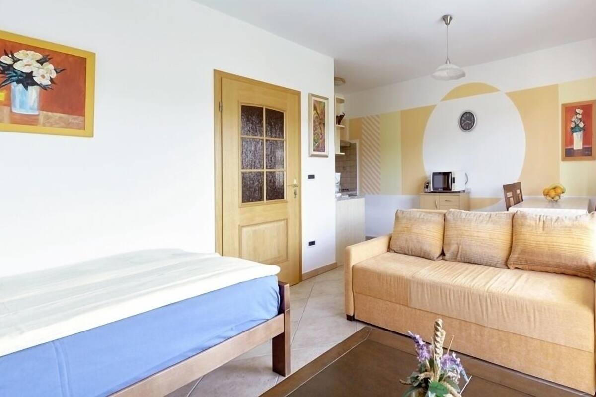 A room with a bed, a sofa, a coffee table, a kitchen area, and a door.