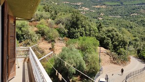 Un balcon donnant sur une route sinueuse et une forêt dense.