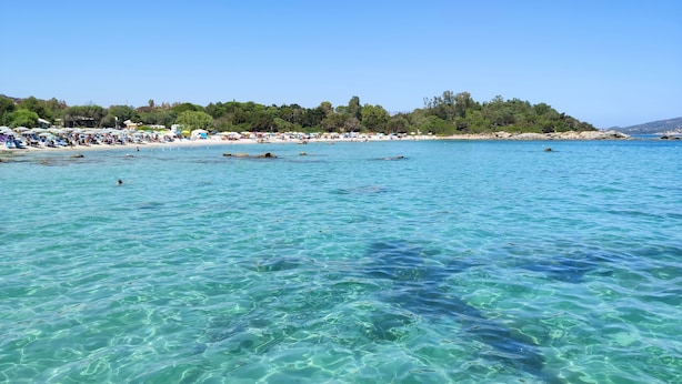 Une plage à l’eau turquoise et limpide, un rivage sablonneux et, en arrière-plan, une colline boisée.