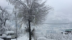 Schneebedeckte Landschaft mit Baum, Betonmauer und einem im Schnee versunkenen Fahrzeug.