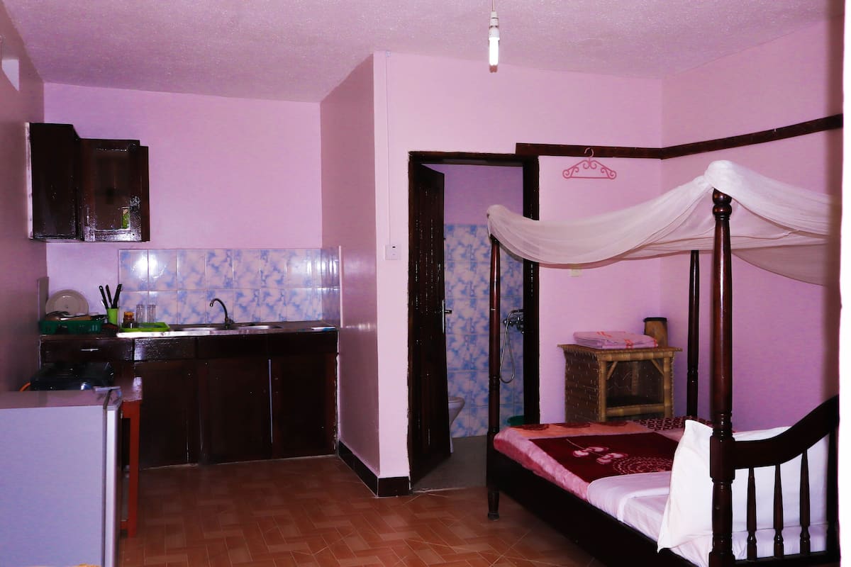 Standard Studio Suite | Desk, iron/ironing board, rollaway beds (surcharge), WiFi (free)