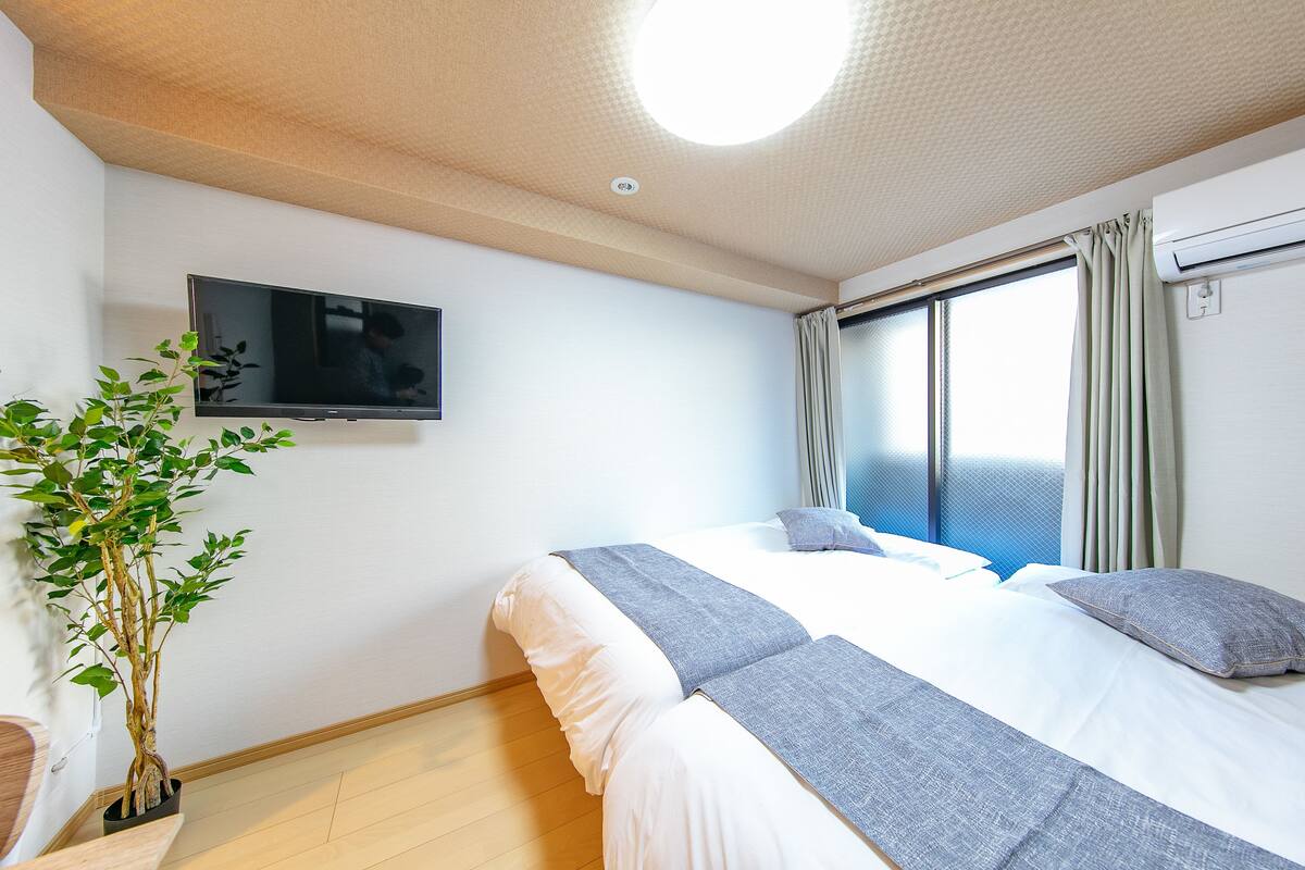 A hotel room with a bed, a television, a potted plant, and a window with curtains.