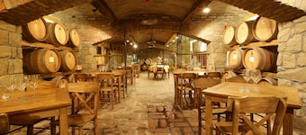 Garni Hotel Chicha - Winery Skrbic