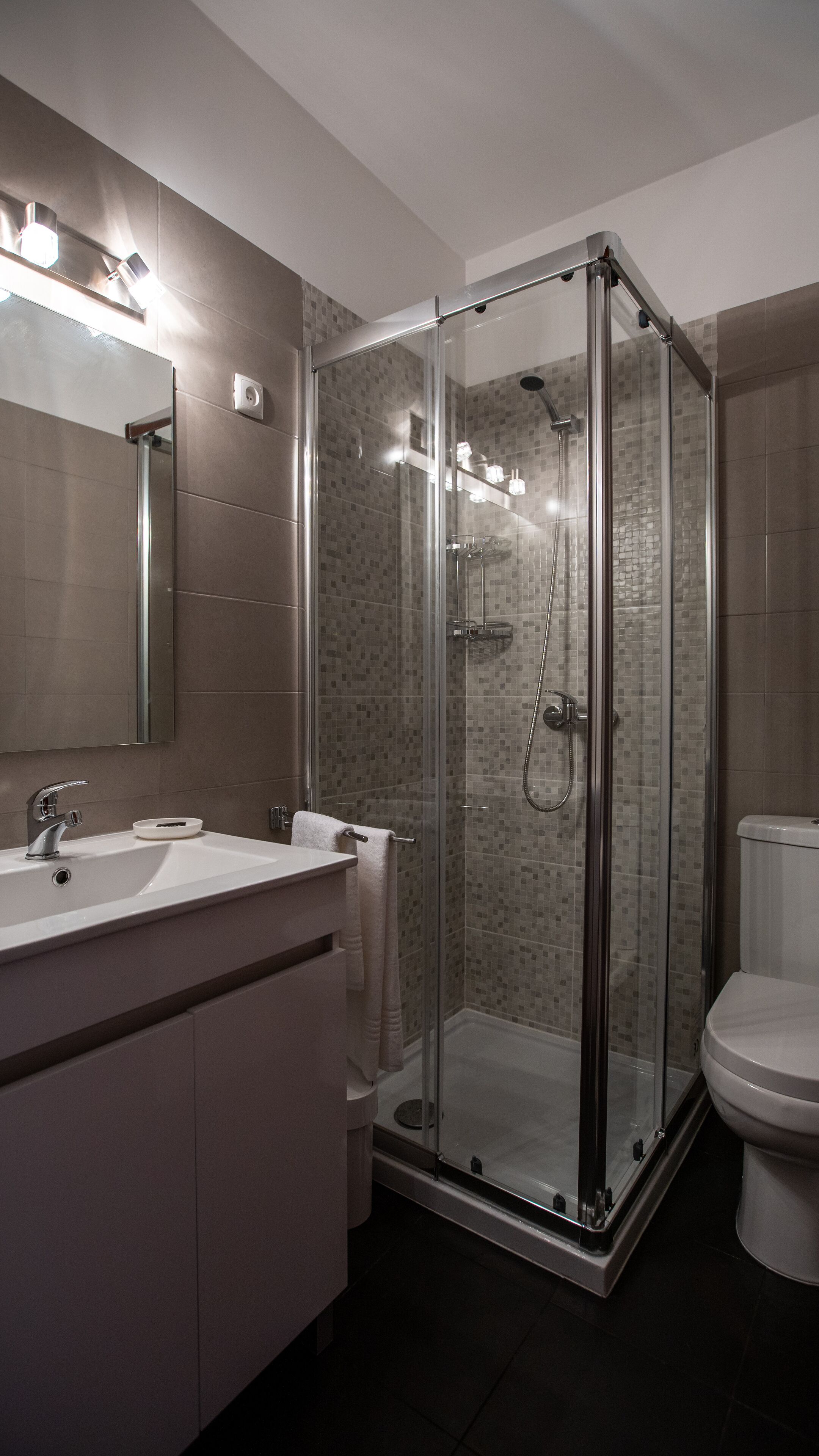 A modern bathroom with a glass-enclosed shower, a sink with a mirror, and a toilet.