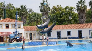 A dolphin show at a water park with a pool, a lifeguard, and a dolphin trainer. - T3 Carcavelos by the sea - Cascais / Lisbon / Sintra (Carcavelos)