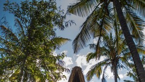 A thatched-roof hut with a wooden deck, surrounded by palm trees and greenery. - Turtle Cove Lodge and Yoga Shala (Tofo)