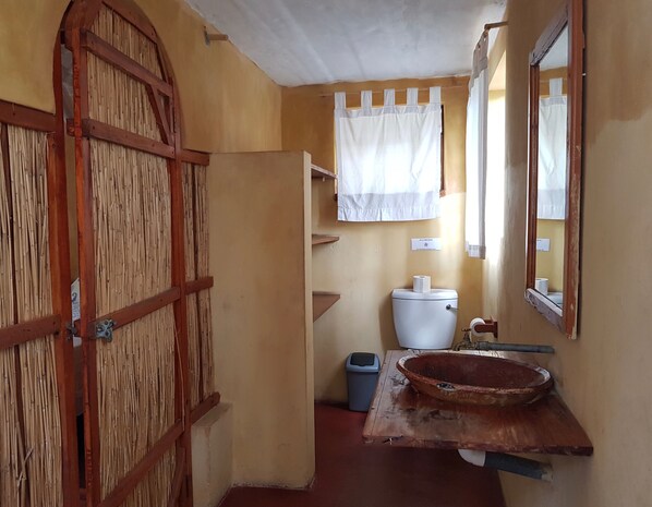 A narrow hallway with a rustic wooden door, a toilet with a roll of toilet paper, a trash bin, and a wooden basin.