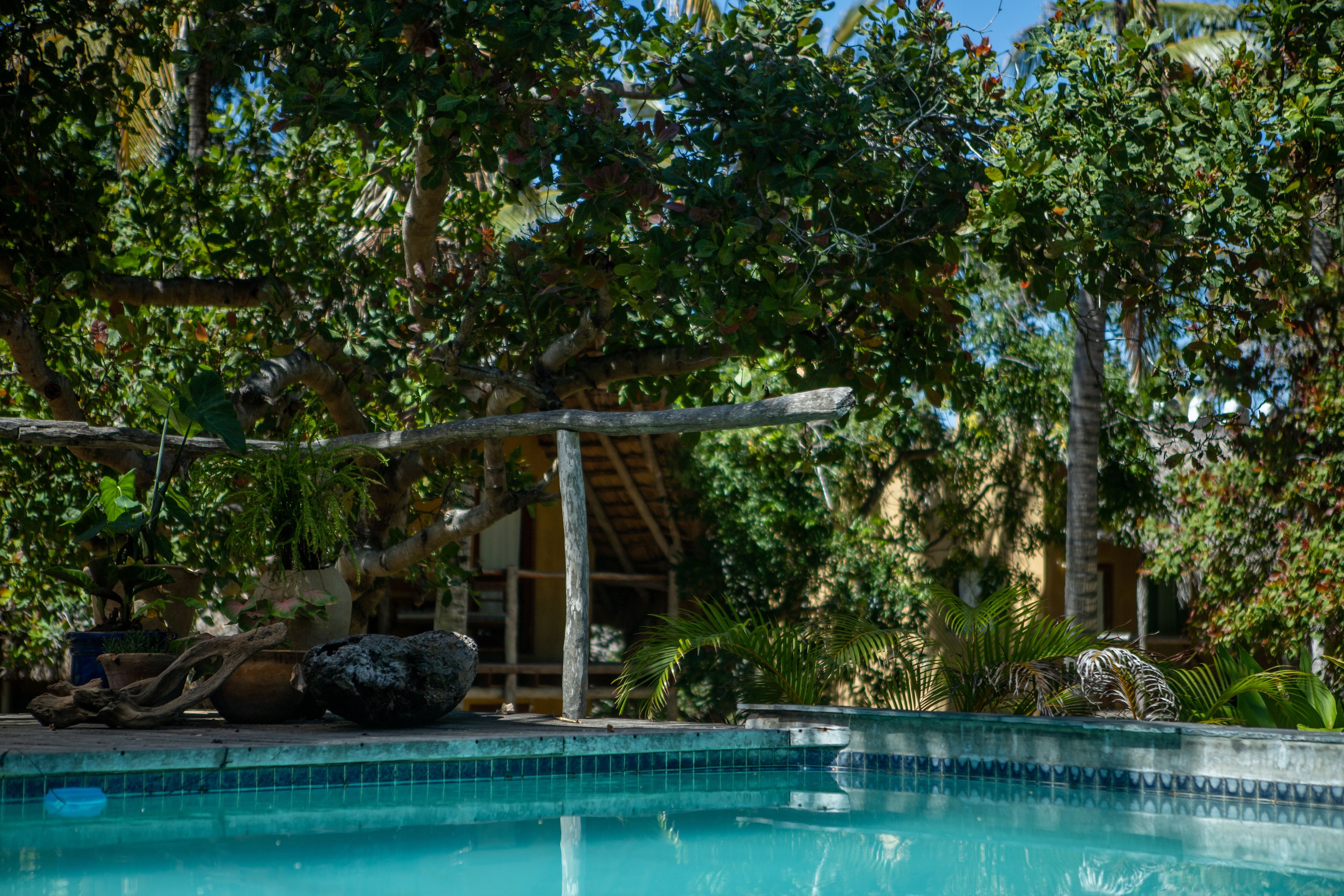 Outdoor pool, open 7:00 AM to 9:00 PM, sun loungers