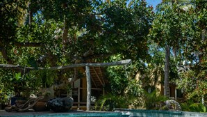 A pool area with a tiled edge, surrounded by lush greenery and a wooden pergola. - Turtle Cove Lodge and Yoga Shala (Tofo)