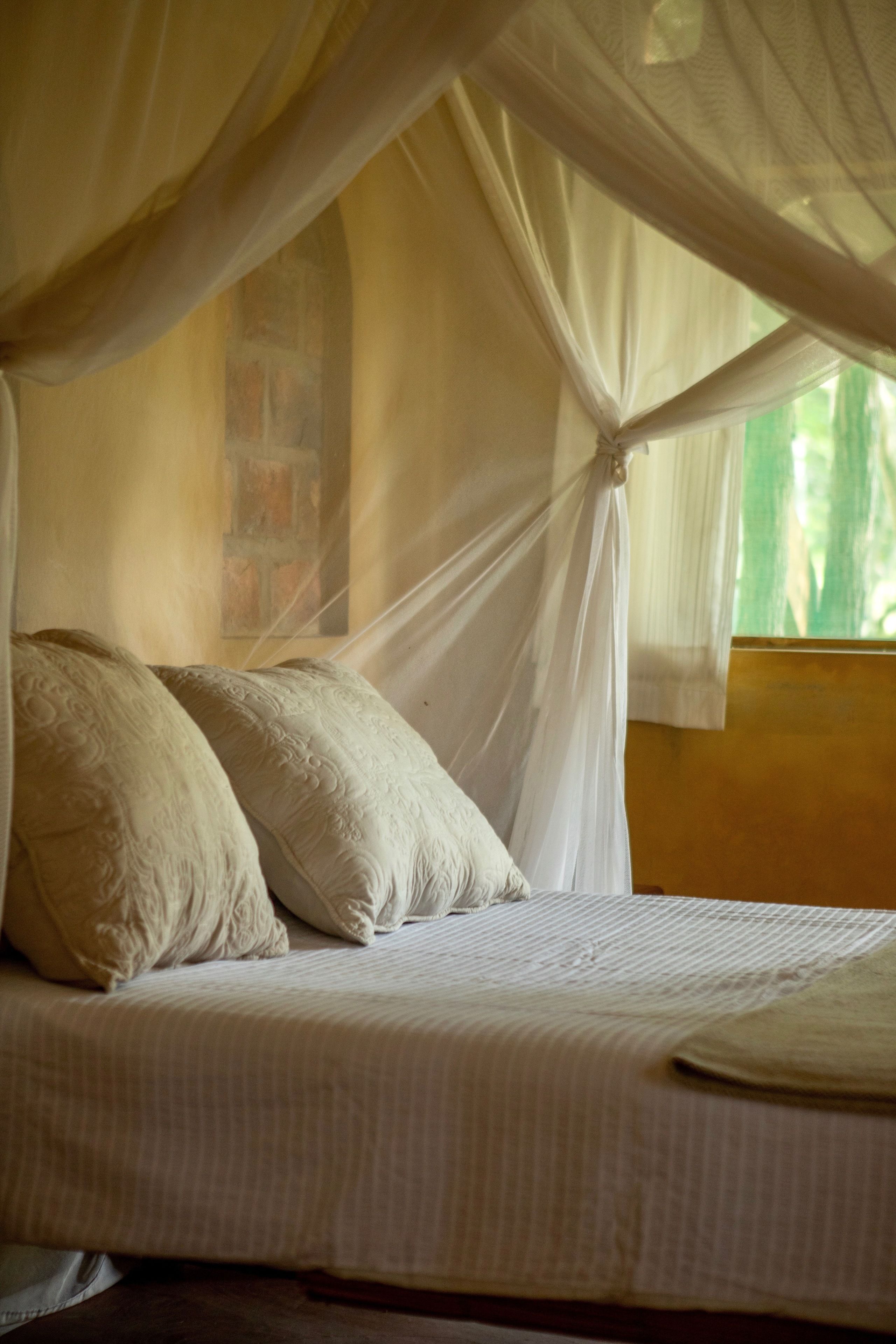 A bed with a canopy, pillows, and a window with a view.