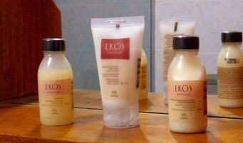 Quarto triplo standard | Comodidades do banheiro | Chuveiro, produtos de toalete grátis, secador de cabelo 