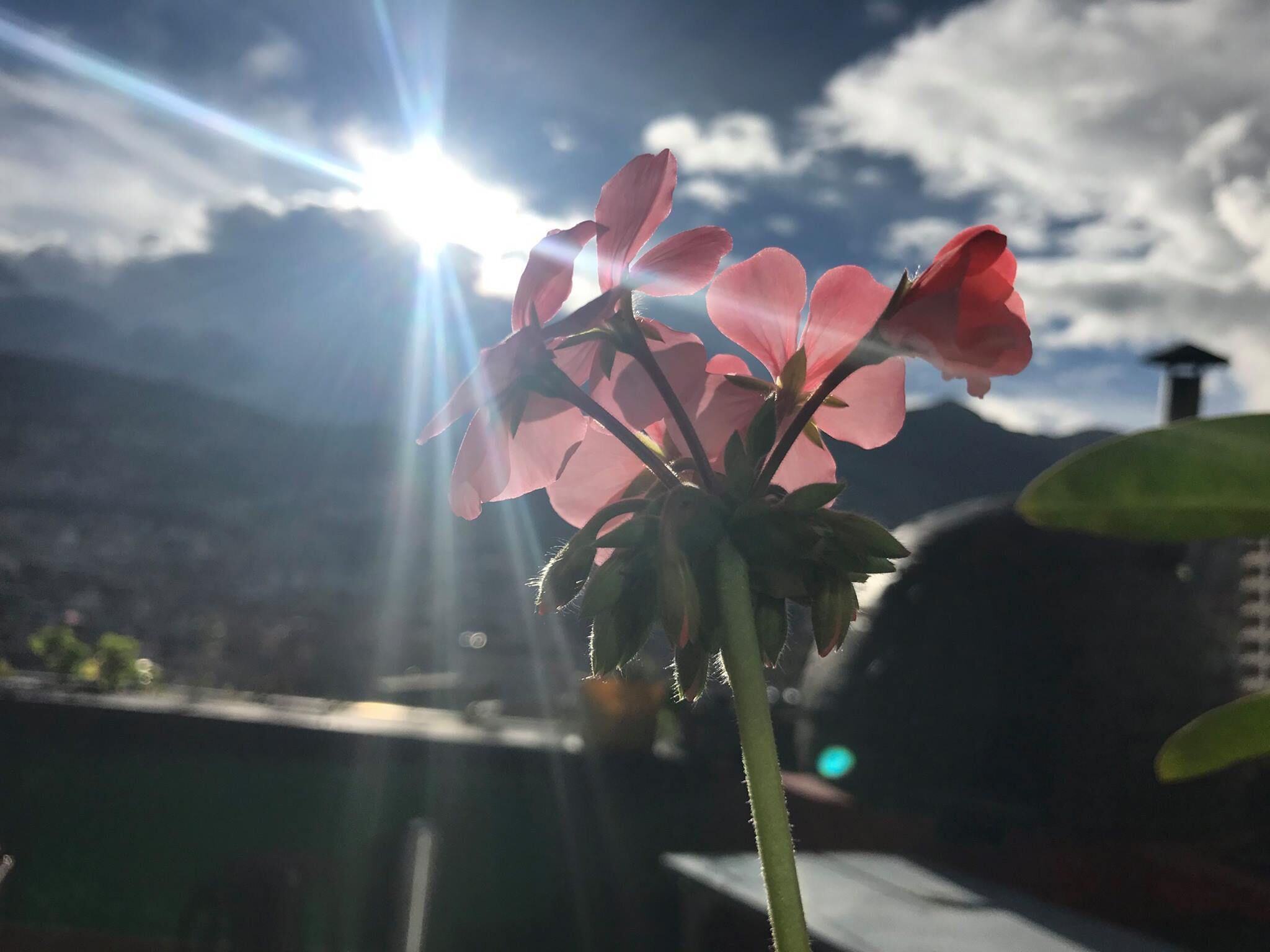 Photo - Hostal La Guayunga RoofTop