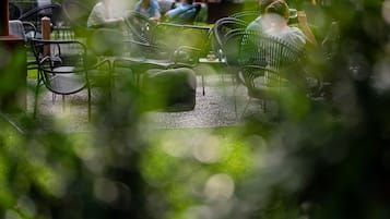 Vistas al jardín