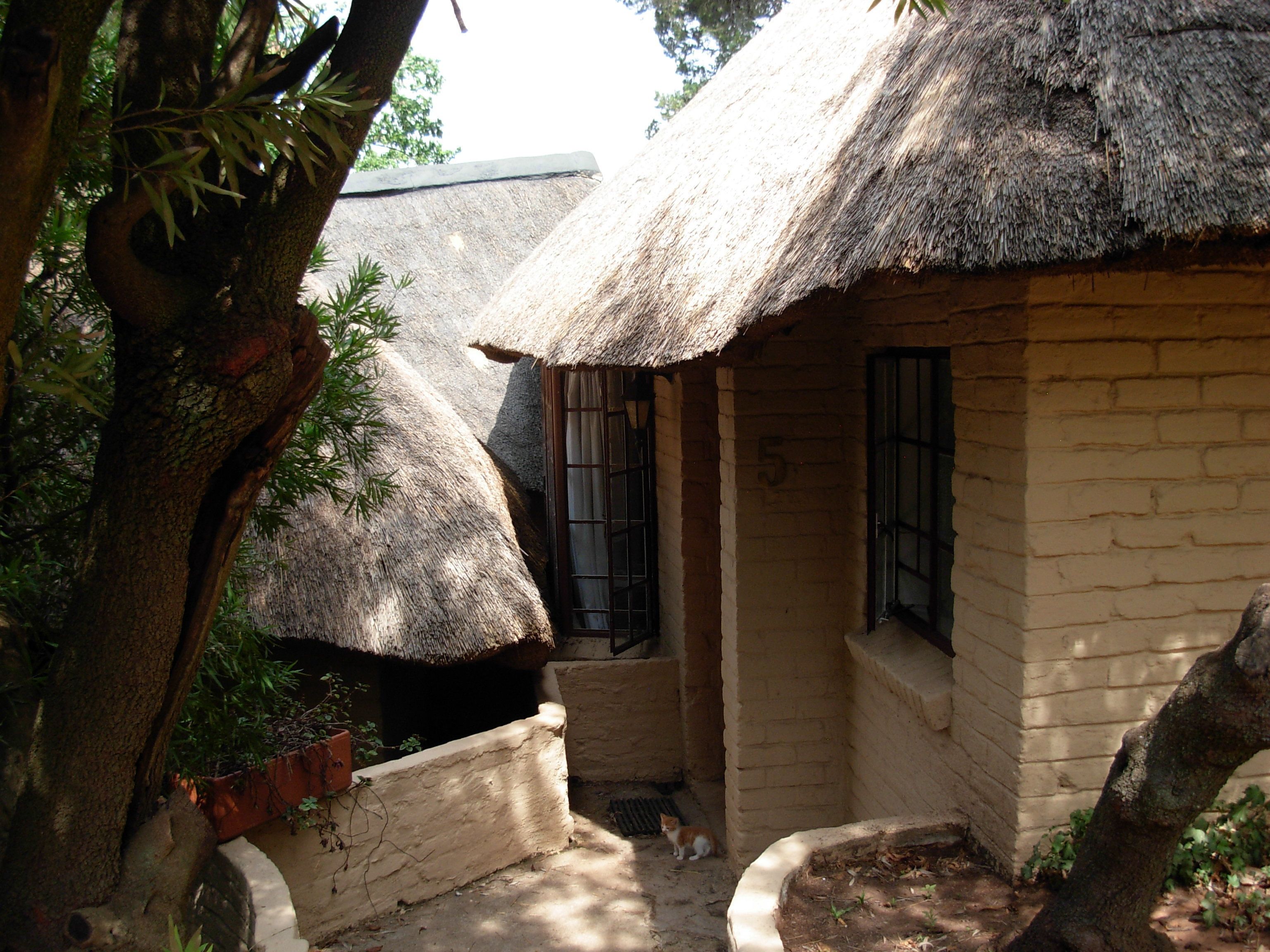 A traditional thatched-roof house with a small window and a door, surrounded by trees and a potted plant.