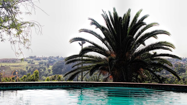 A swimming pool with a palm tree in the foreground and a view of a hilly landscape in the background. - Sterkfontein Heritage Lodge (Krugersdorp)