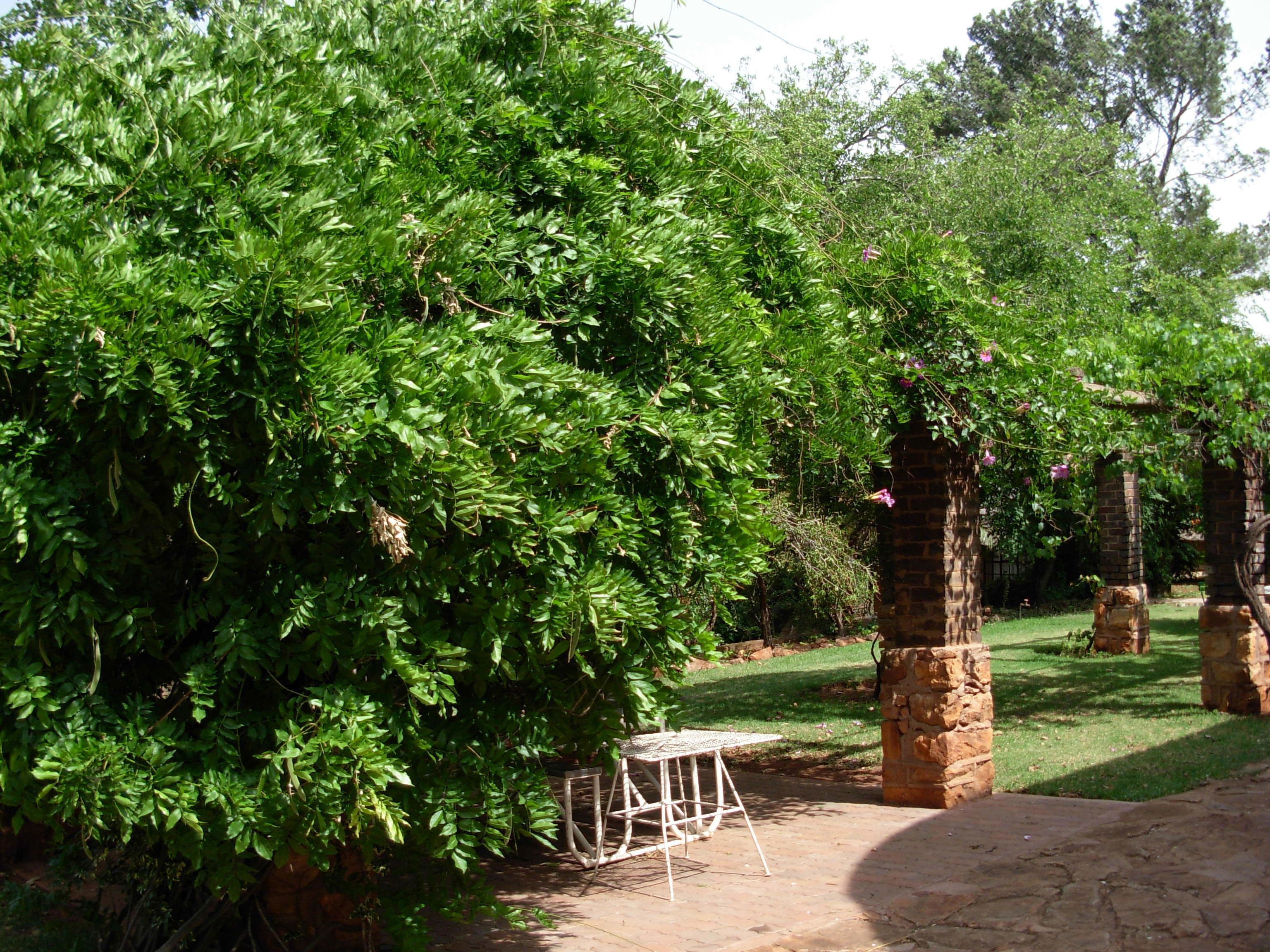 A garden with a brick wall, a white metal table, and green foliage.