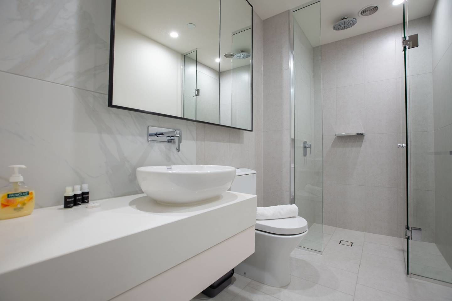 A modern bathroom with a large white sink, a toilet, and a glass-enclosed shower.