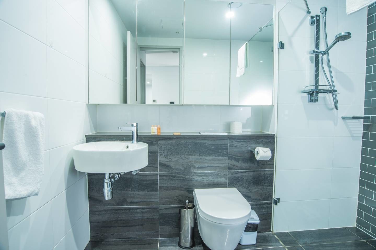 Apartamento (1 Bedroom) | Baño | Ducha