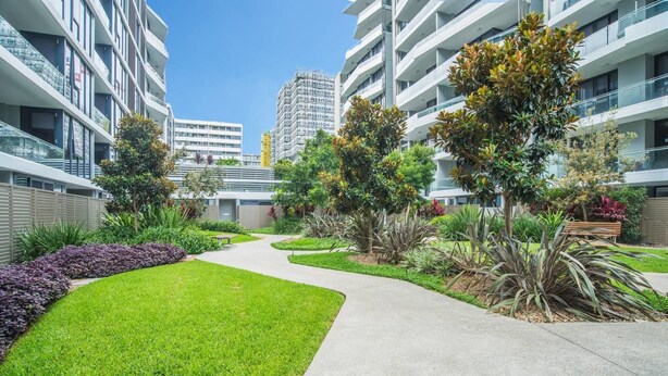 Un immeuble d’appartements moderne doté d’un chemin central, entouré d’une végétation luxuriante et d’arbres matures.