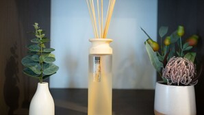 Trois vases avec des plantes, placés sur une table.