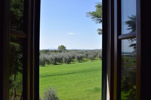 Vue depuis l’hébergement