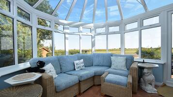 TV, fireplace, table tennis, books