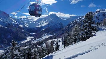 Sneeuw- en skisporten