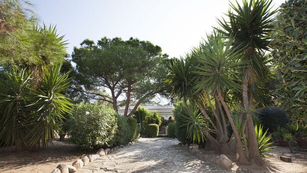 A stone pathway leading through a garden with various plants and trees. - Villa Wanda (Quartu Sant'Elena)